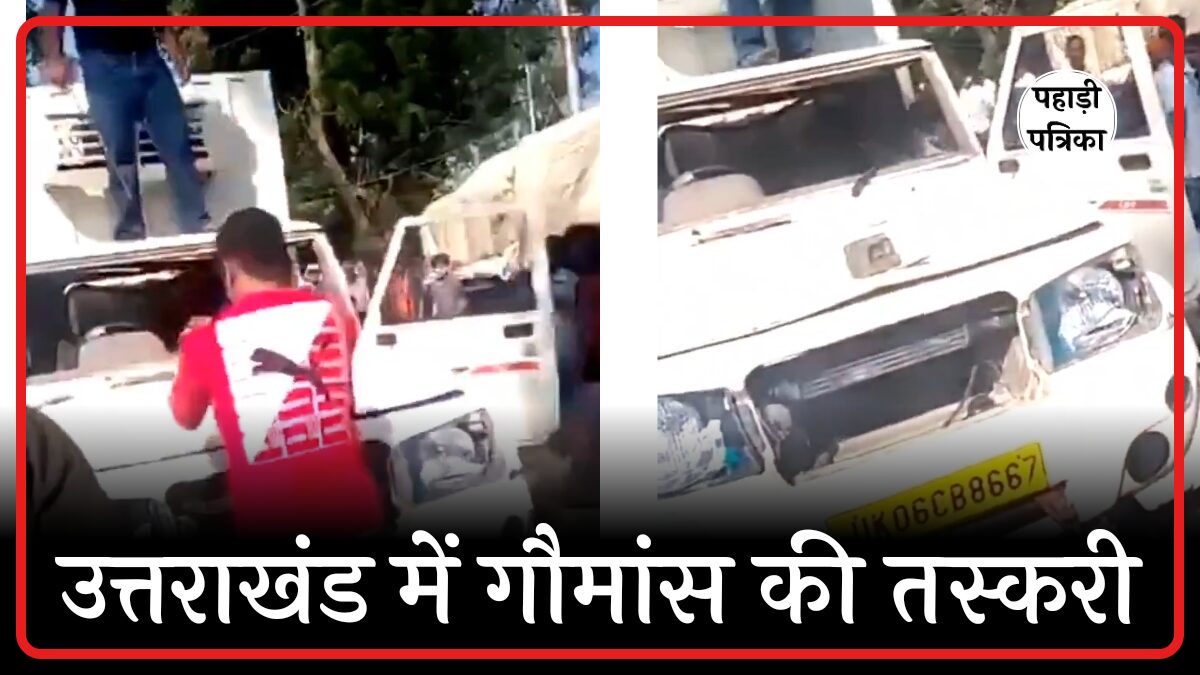 कालाढूंगी में गौमांस तस्करी का खुलासा, हिंदूवादी संगठनों ने पकड़े दो पिकअप